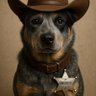 Profilbild von DeputyDingo