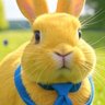 Фото профиля なつき🦖🐰国民民主党応援アカ