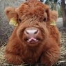 most profil fotoğrafı