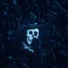 Profilbild von Le Pirate