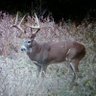 Randy's profile picture