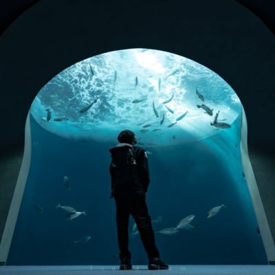 tsukarium's profile picture