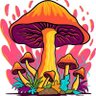 Shrooms Biryani's profile picture