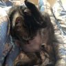 ばった。=りぃ。's profile picture