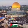 Emel 🇹🇷☝️🇵🇸's profile picture