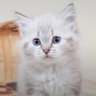 Profilbild von mary