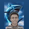 SHรRK๐ฆ's profile picture