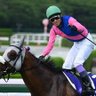 みらちゃん🏇🏇🏇 的头像