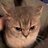 Alex profil fotoğrafı