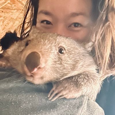 ak215's profile picture