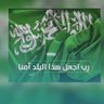 محمد الهلالي 的头像
