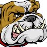 Фото профиля Bulldog
