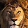 Silvio 的头像