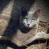 Фото профиля Lui Garci