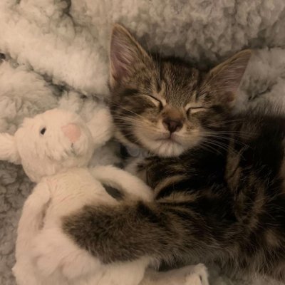 IAmEnoughh_'s profile picture