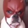 shhmoneydug.SOL📈 的头像
