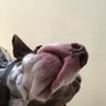 Profilbild von Theresa