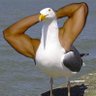 Profilbild von Uriel