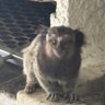 RS profil fotoğrafı