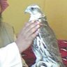 Profilbild von حسين العجمي 🇰🇼