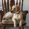 Steve (SGB478)'s profile picture