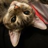 Vix's profile picture
