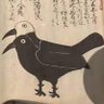 四季狂い's profile picture