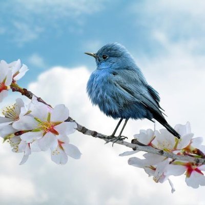 Azaz Ahamad's profile picture