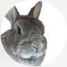 うさ夫🏕️防災士's profile picture