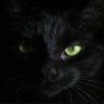Profilbild von ..