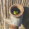 つちひさ2 profil fotoğrafı