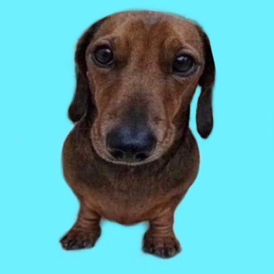 roerdtm's profile picture