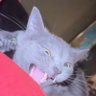 huh profil fotoğrafı