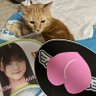木下マタムネ profil fotoğrafı