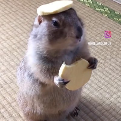 Kawavxxx's profile picture