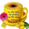 آل صقر's profile picture