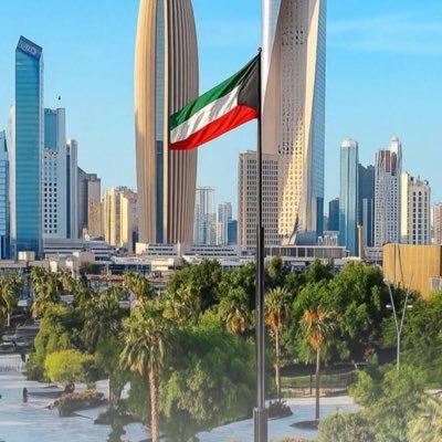 salehalyaseen's profile picture