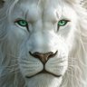 العراقي profil fotoğrafı