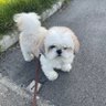 たくちゃん4代目's profile picture