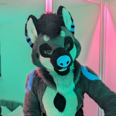 Delay Doggo's profile picture