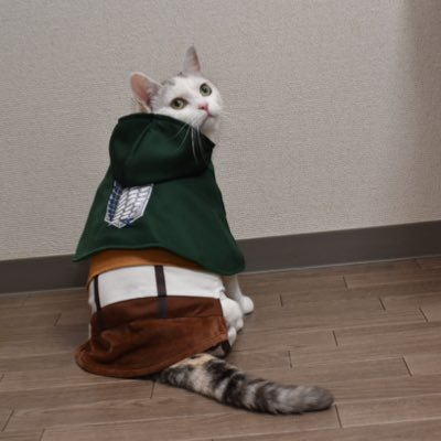 miruneko0401's profile picture