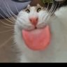 Mert JK's profile picture
