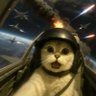 celery's profile picture