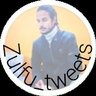 Zulfu_tweets's profile picture
