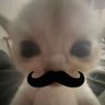 Profilbild von 虛擬小貂TwT