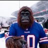 Buffalo Bigfoot's profile picture
