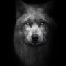 hüseyin's profile picture