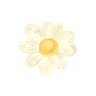 ꫂ✿ profil fotoğrafı