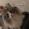 Sun4rose10969's profile picture