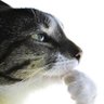 Mrice007's profile picture